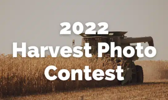 Crystal Valley news,Southern Minnesota agricultural news,Cooperative updates MN,Crystal Valley market reports,Ag cooperative news southern Minnesota,Grain marketing news MN,Feed,energy,agronomy updates,Cooperative blog Minnesota,Crystal Valley announcements