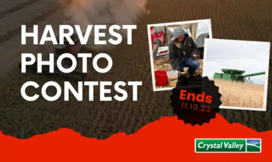 Crystal Valley news,Southern Minnesota agricultural news,Cooperative updates MN,Crystal Valley market reports,Ag cooperative news southern Minnesota,Grain marketing news MN,Feed,energy,agronomy updates,Cooperative blog Minnesota,Crystal Valley announcements