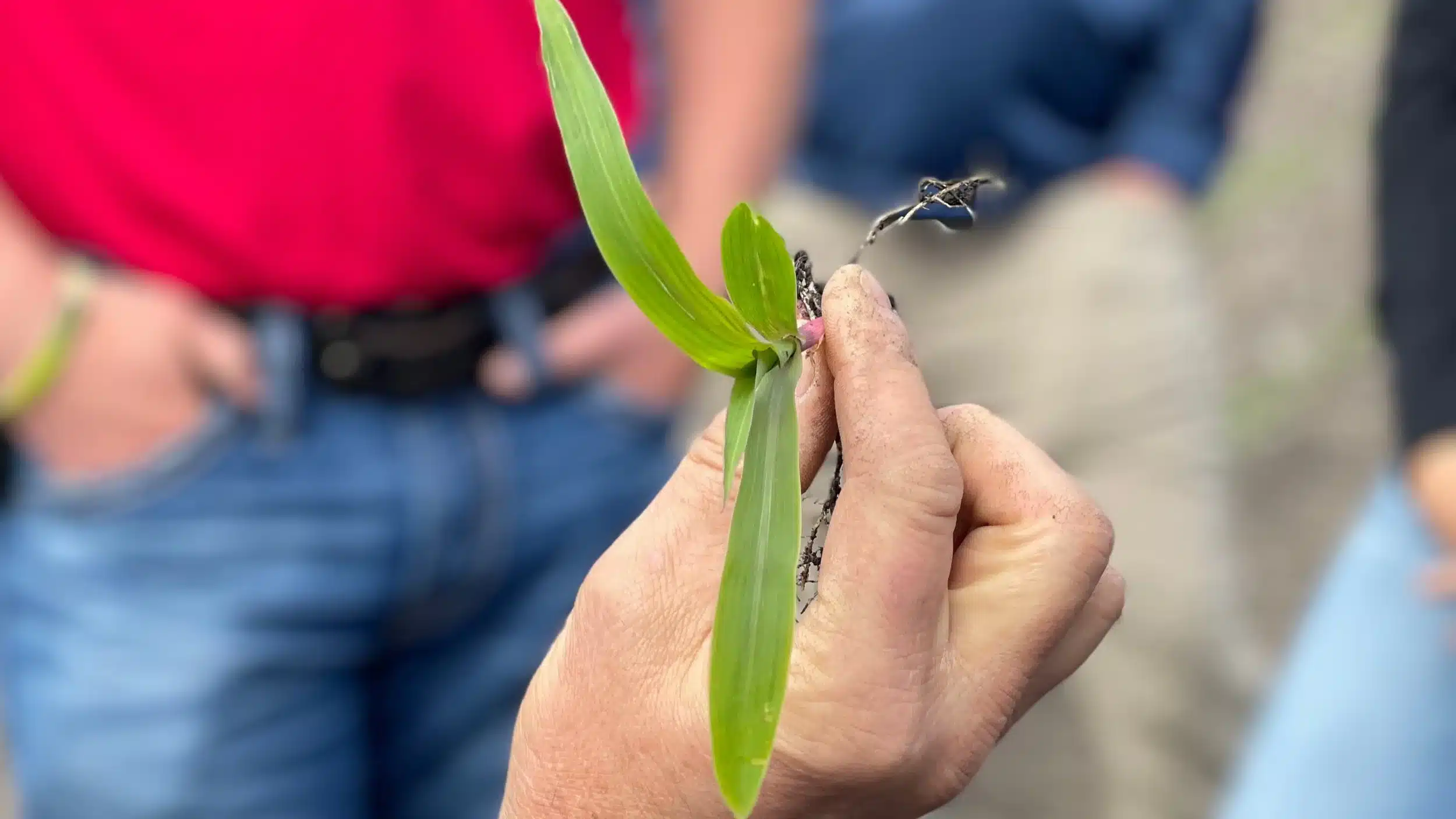 Crystal Valley news,Southern Minnesota agricultural news,Cooperative updates MN,Crystal Valley market reports,Ag cooperative news southern Minnesota,Grain marketing news MN,Feed,energy,agronomy updates,Cooperative blog Minnesota,Crystal Valley announcements